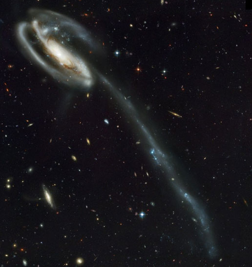Disrupted spiral galaxy Arp 188, the Tadpole Galaxy Disrupted spiral galaxy Arp 188, the Tadpole Galaxy