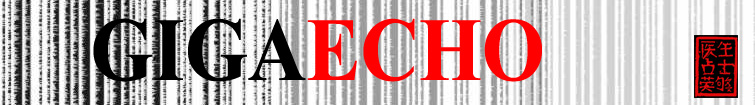 GIGAECHO